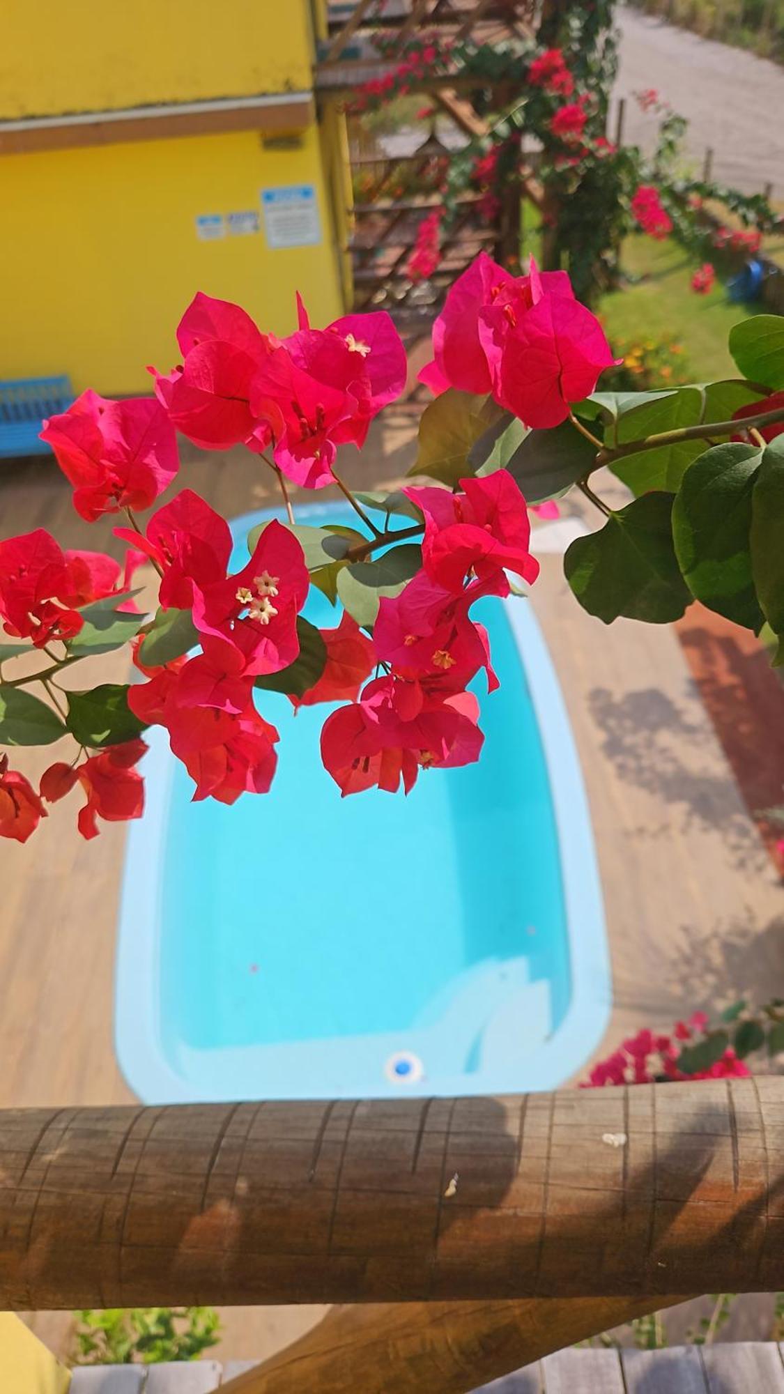 Ilha Do Contrato Portal Flat Aparthotel Igrapiuna Ngoại thất bức ảnh